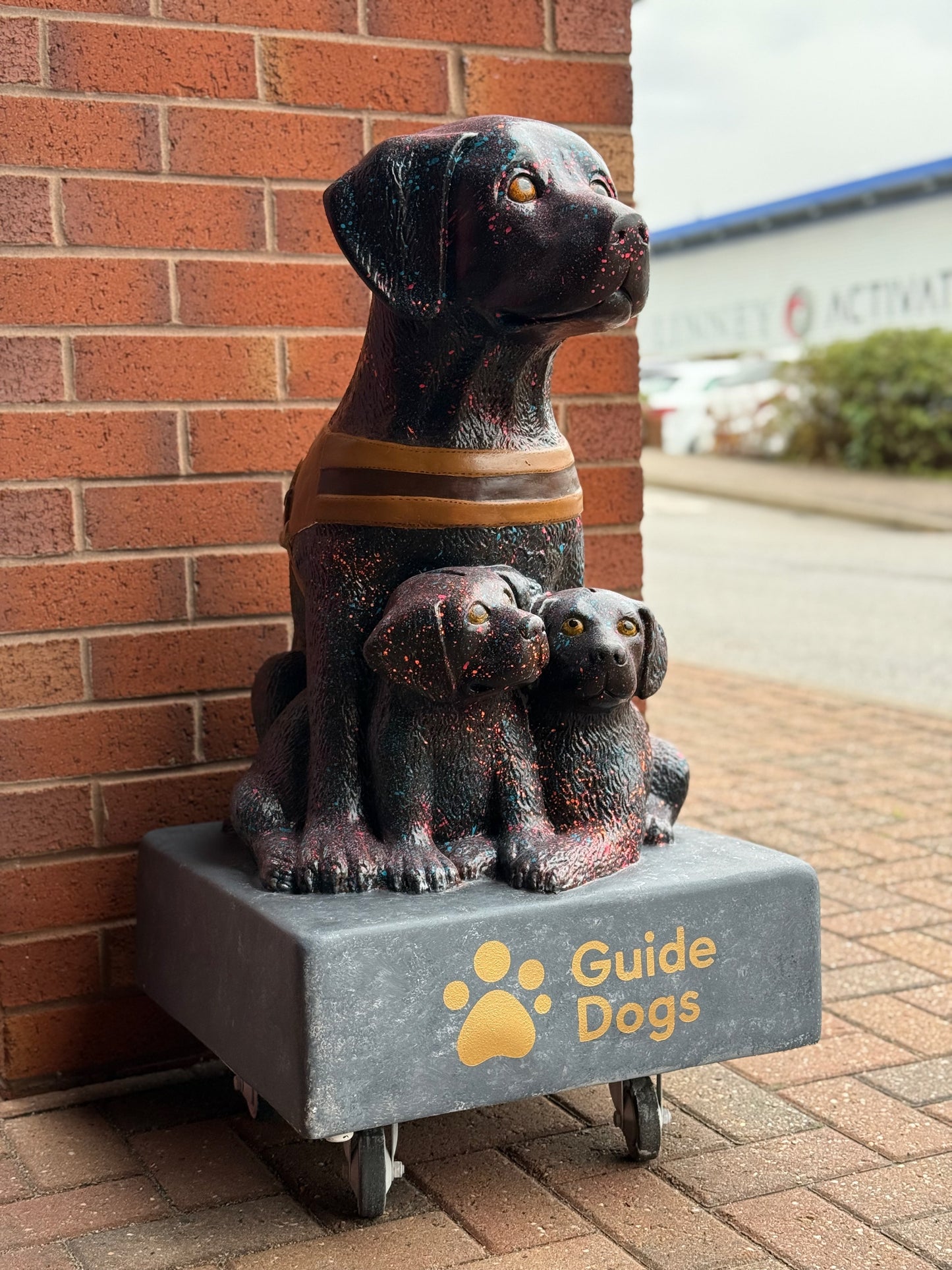Guide Dogs: Old Dogs, New Tricks